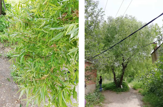 電氣事故引發(fā)加州山火，據(jù)說這個裝置可以避免事故發(fā)生！