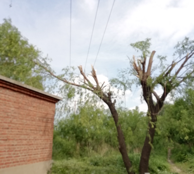 電氣事故引發(fā)加州山火，據(jù)說這個裝置可以避免事故發(fā)生！